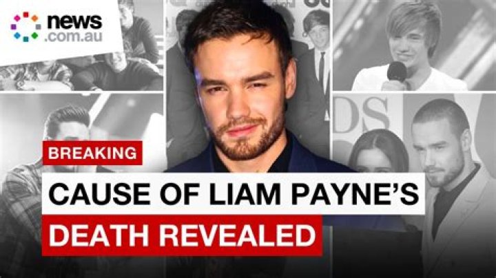 
The Untold Truth Of Liam Payne’s Fiancée – Maya Henry 