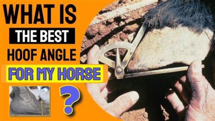 What angle should a horses hoof be at?
