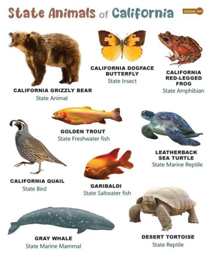 What animals are restricted in California?