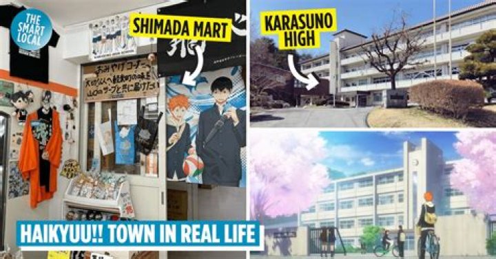 What anime is Karasuno High School from?
