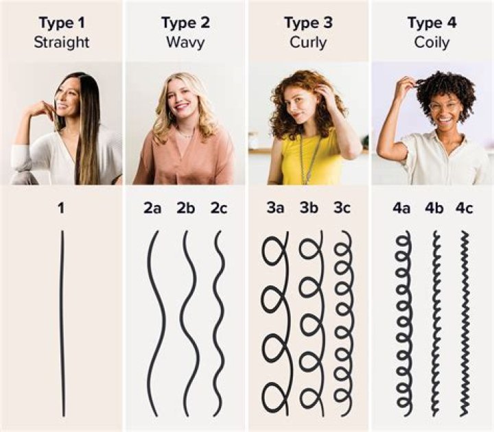 What are 4 types of sketches?