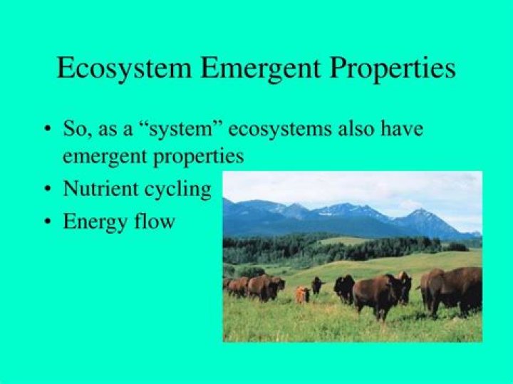 What are emergent properties of ecosystems?