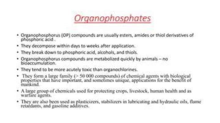 What are examples of organophosphates?
