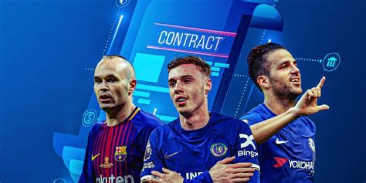 What are player contracts?