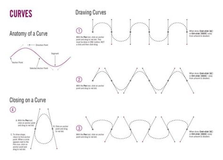 What are shapes with curves called?