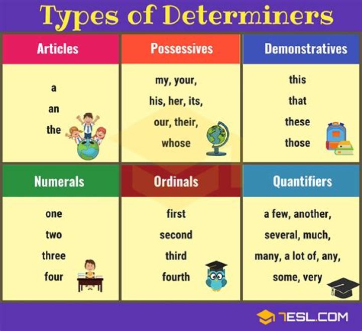 What are the 4 types of determiners?