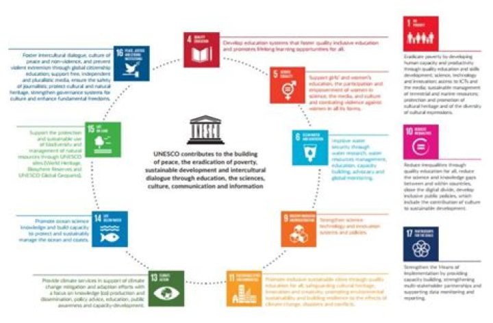 What are the contributions made by UNESCO?
