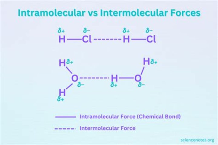 What are the differences between intermolecular forces and intramolecular forces?