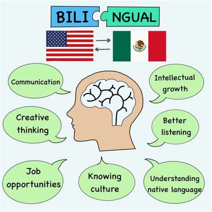 What are the main concepts of bilingualism multilingualism?