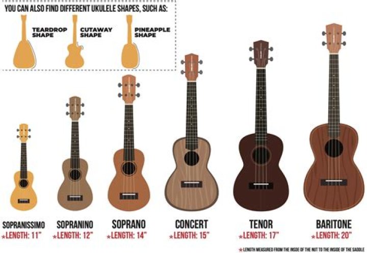 What are the metal bars on a ukulele called?