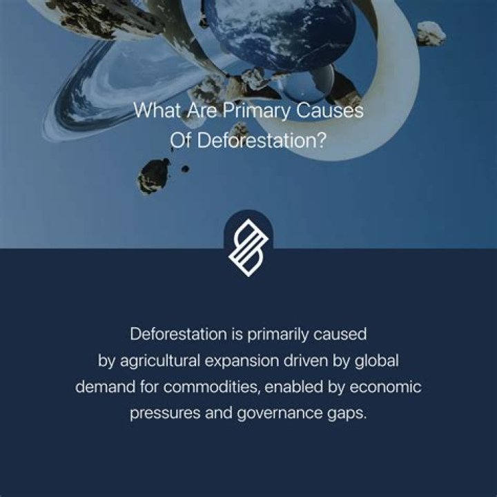 What are the primary causes of ecological debt?