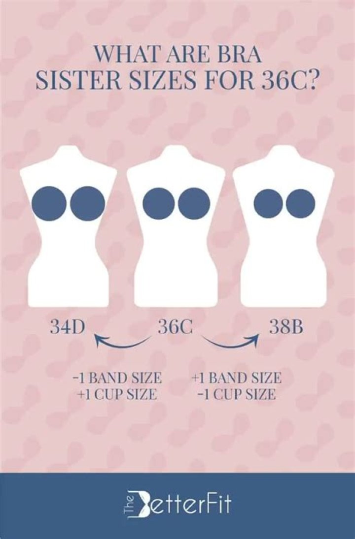 What bust size is a 36 B?