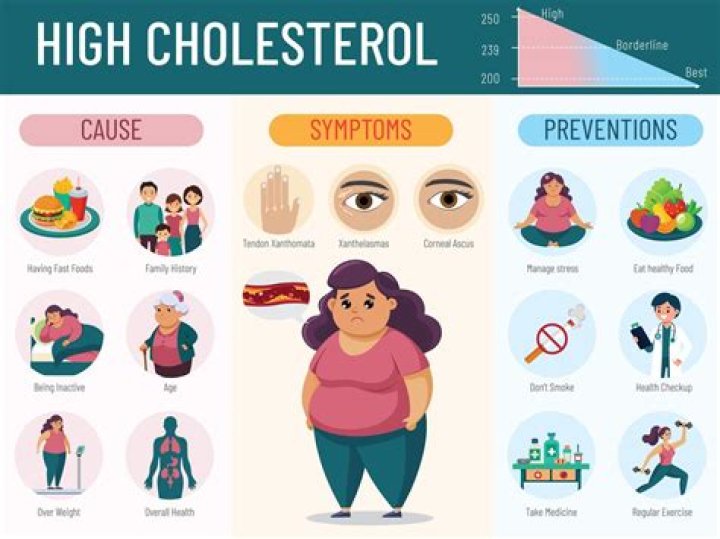 What causes high cholesterol during pregnancy?