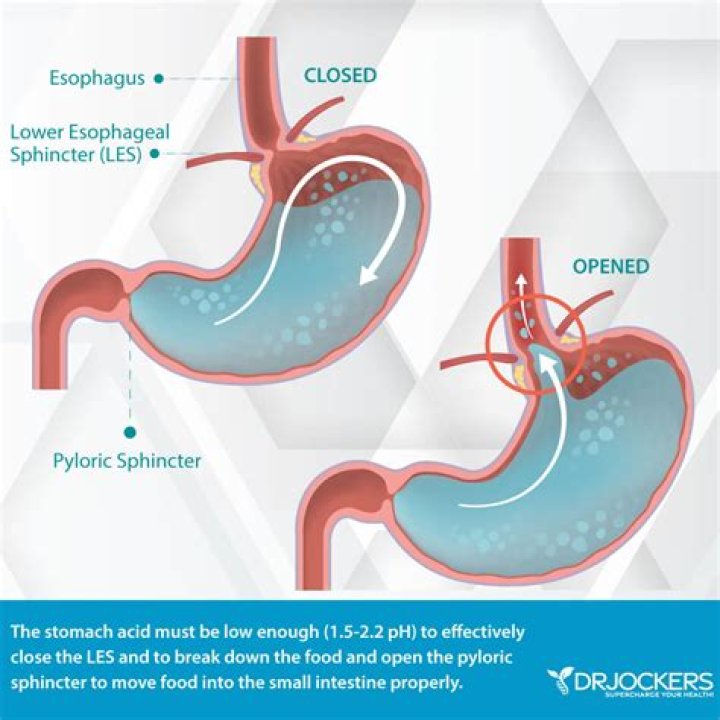 What causes the pyloric sphincter to open and close?