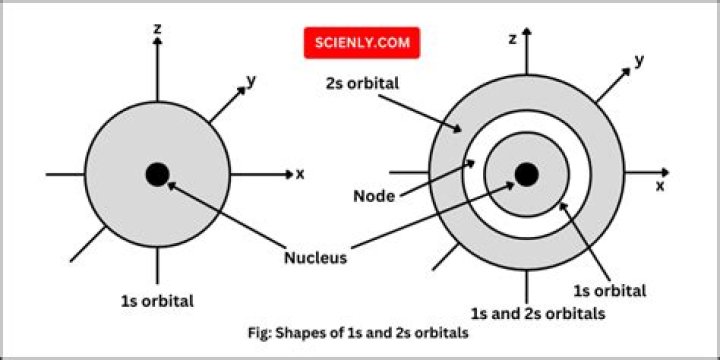What describes the shape of orbital?