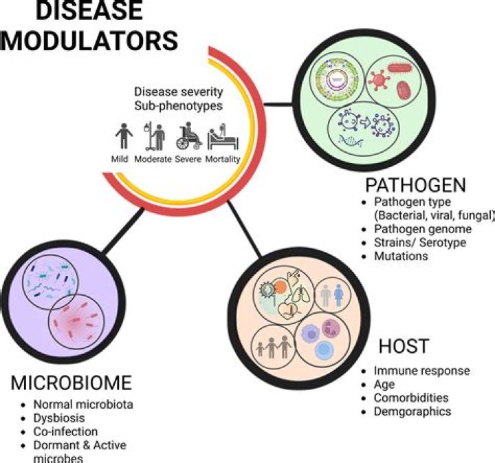 What diseases can be mistaken for mono?