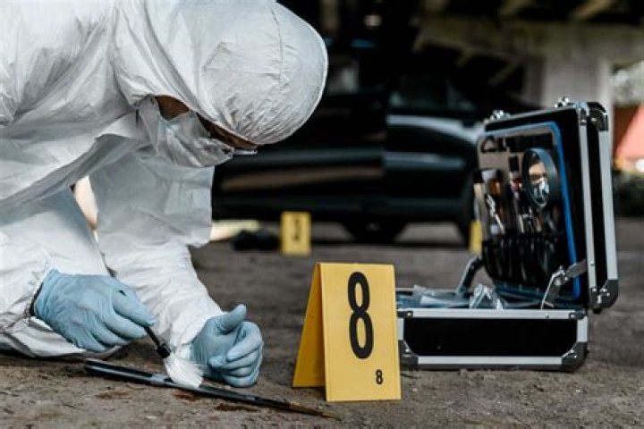 What does a coroner investigator do?