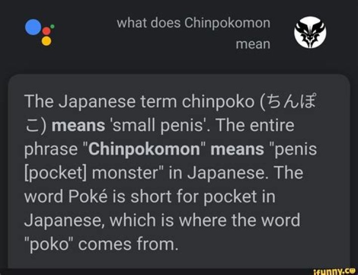 What does Chinpokomon mean in Japanese?