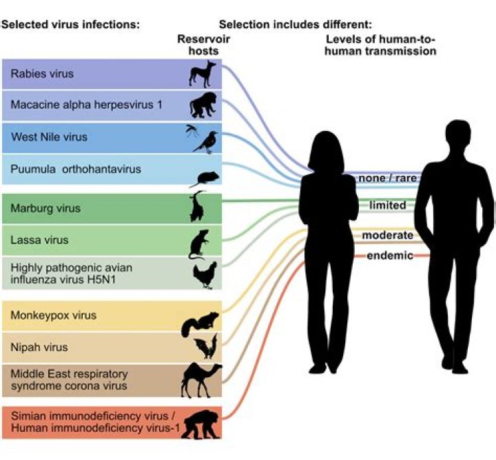 What does it mean for a virus to cross a species barrier?