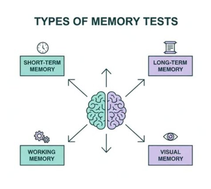 What does losstime memory mean?