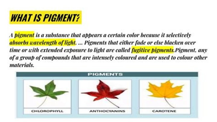 What does pigment mean in biology?