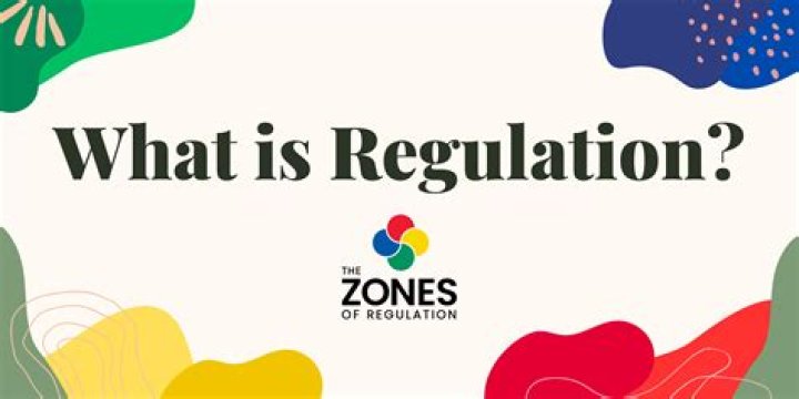 What does Regulation S-K apply to?