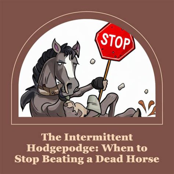 What does stop flogging a dead horse mean?