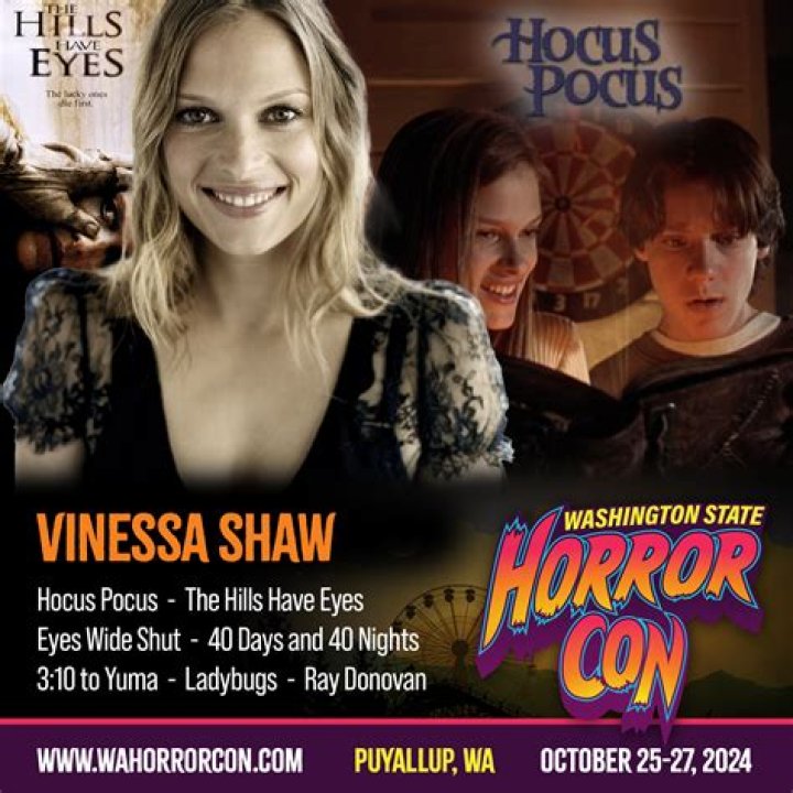 What else has Vinessa Shaw been in?