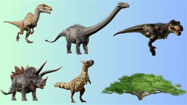 What family is Nothosaurus in?