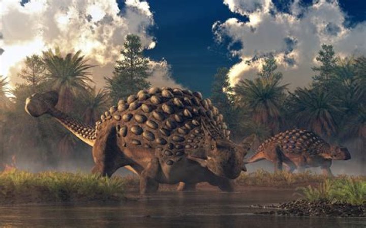 What family is the Nodosaurus from?
