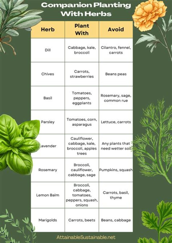What herbs can I use to clean my blood vessels?