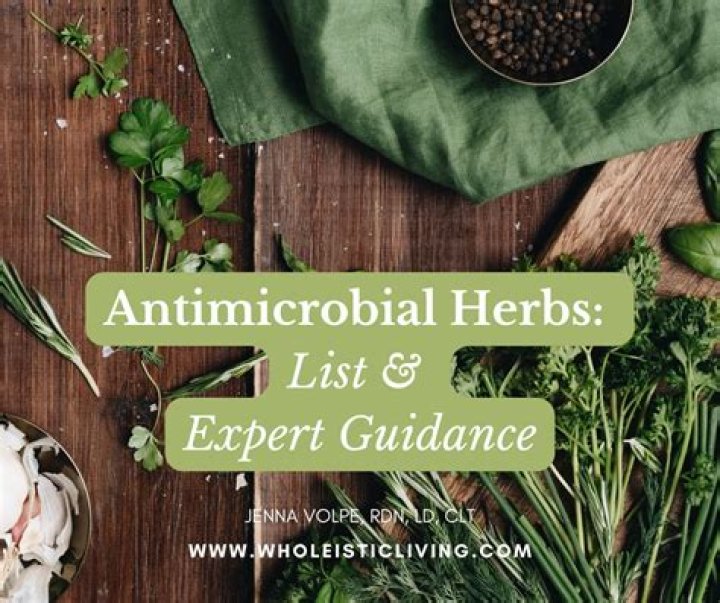 What herbs heal the gut?