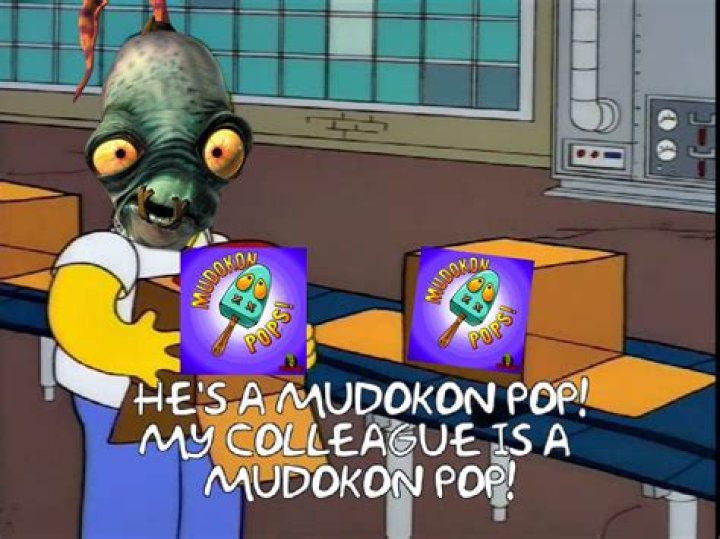 What is a mudokon?