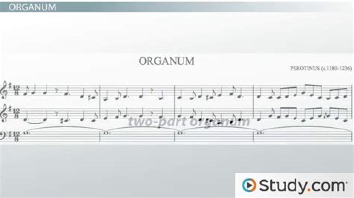 What is a Organum in music?