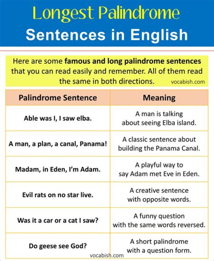What is a palindrome sentence?