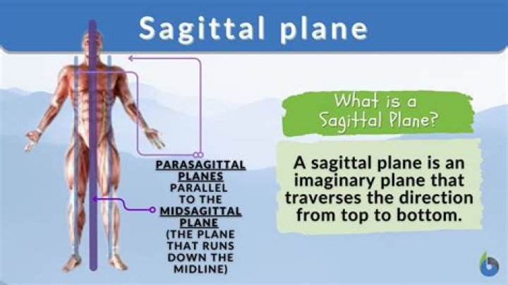 What is a sagittal saw used for?