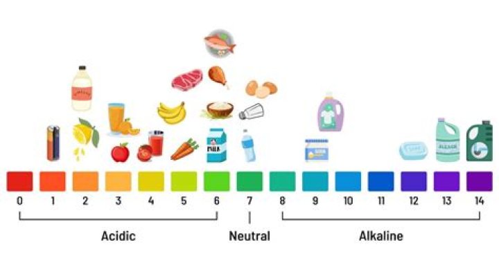 What is an acidified food?