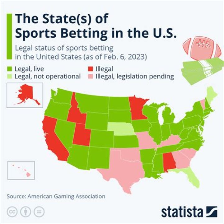 
What is ballot harvesting and in which US states is it legal? 