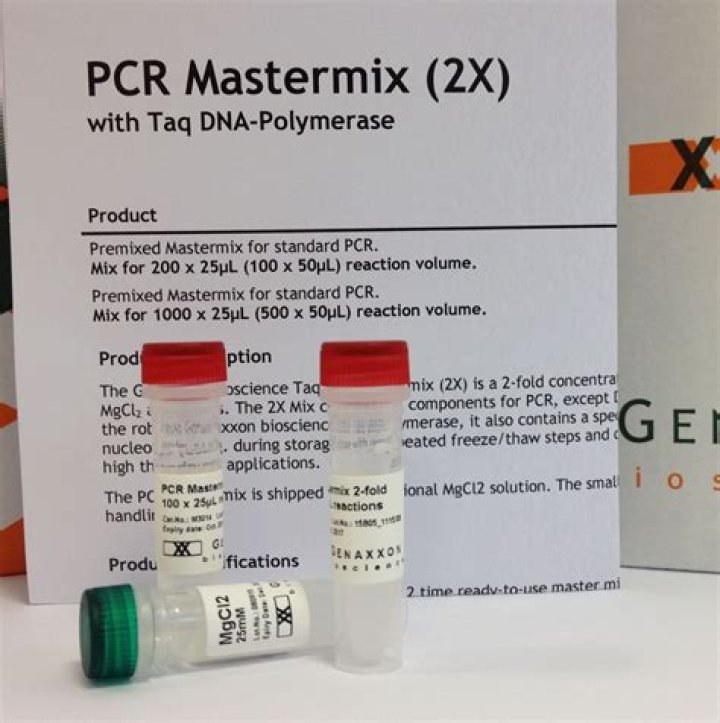 What is Master Mix in qPCR?