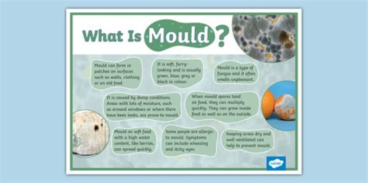 What is Mould lofting?