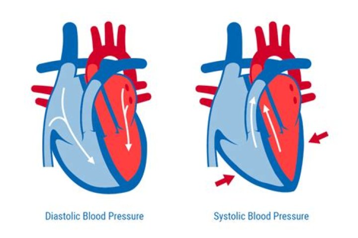 What is systolic and diastolic blood pressure mean?