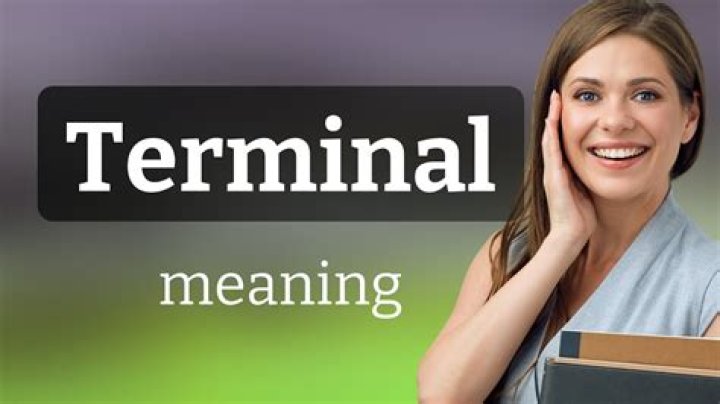 What is terminal Wikipedia?