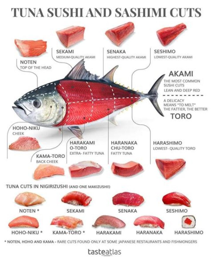 What is the best cut of tuna for sushi?