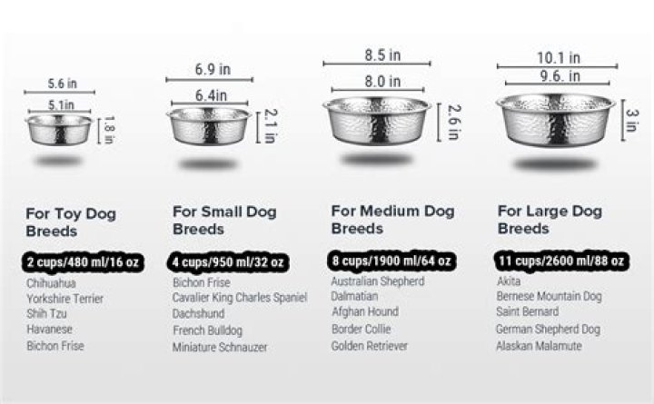 What is the cup size for dog food?
