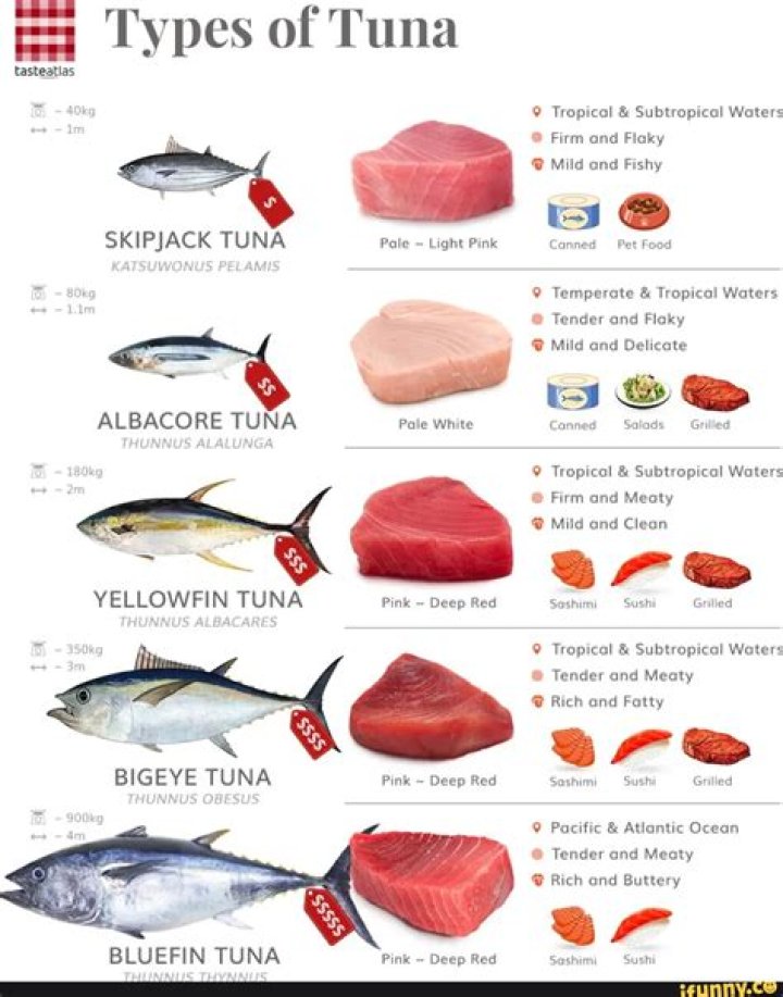 What is the difference between ahi tuna and poke tuna?