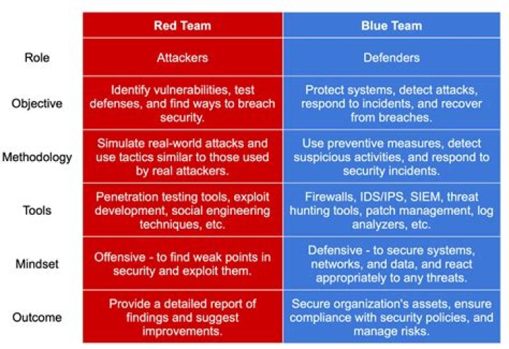 What is the difference between blue team and red team?