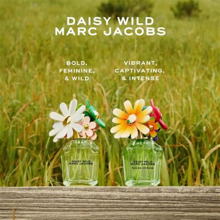 What is the difference between Marc Jacobs and the Marc Jacobs?