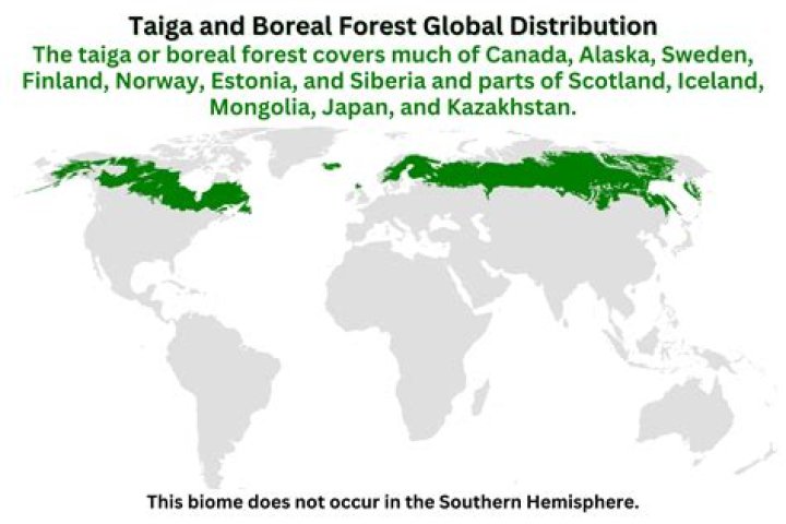 What is the population of the Taiga Plains?