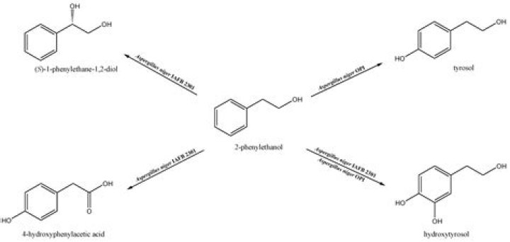 What is the structure of 2 Phenylethanol?