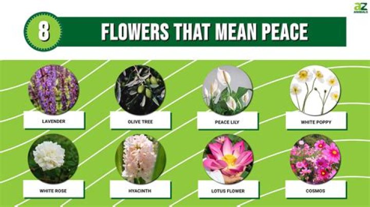 What kind of plant symbolizes love?